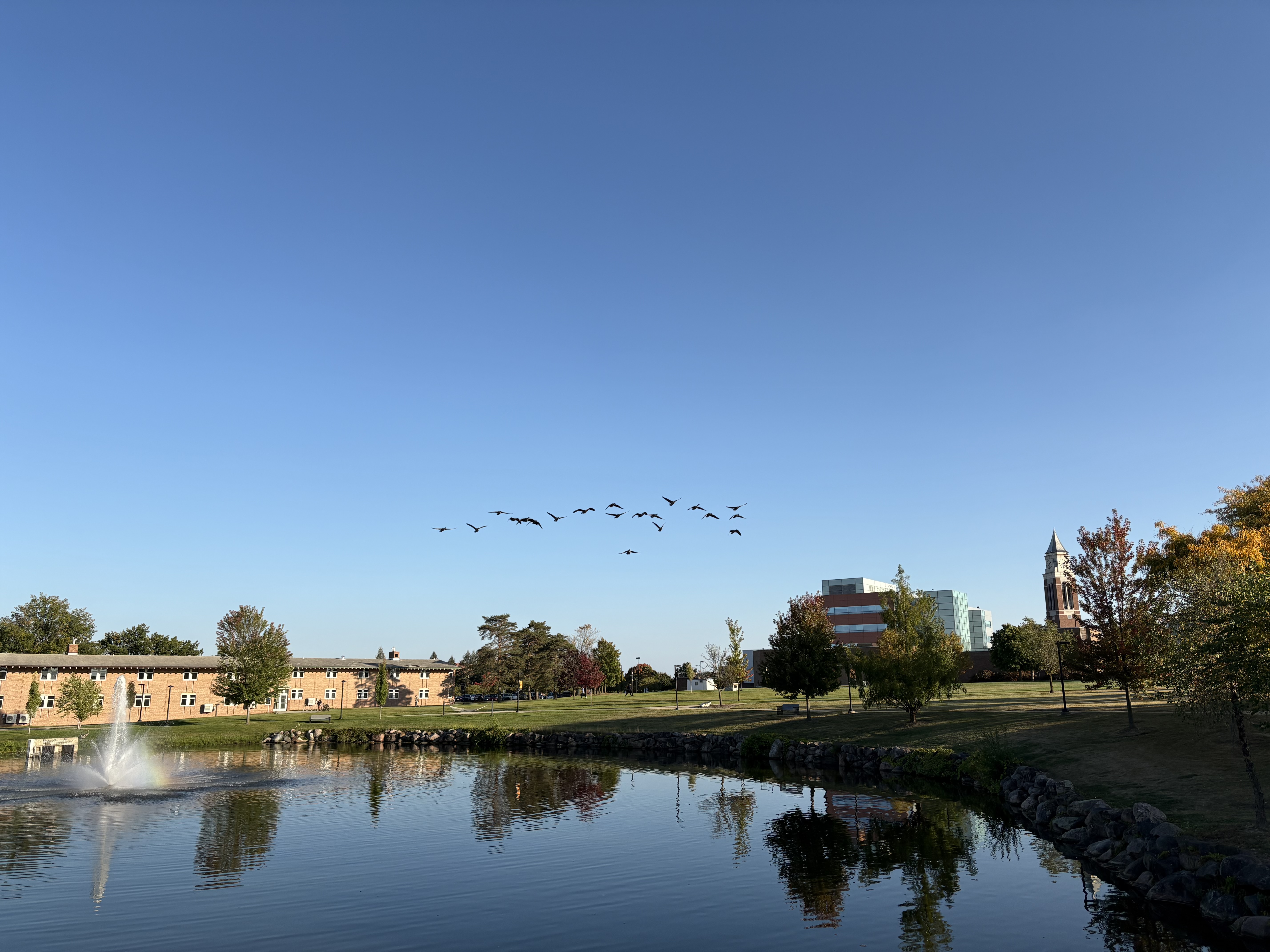 Oakland University campus reflected in a pond beneath a flock of birds